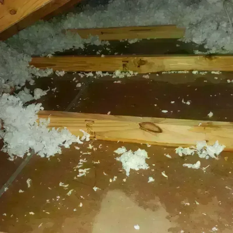 Attic Water Damage in Franklin County, GA