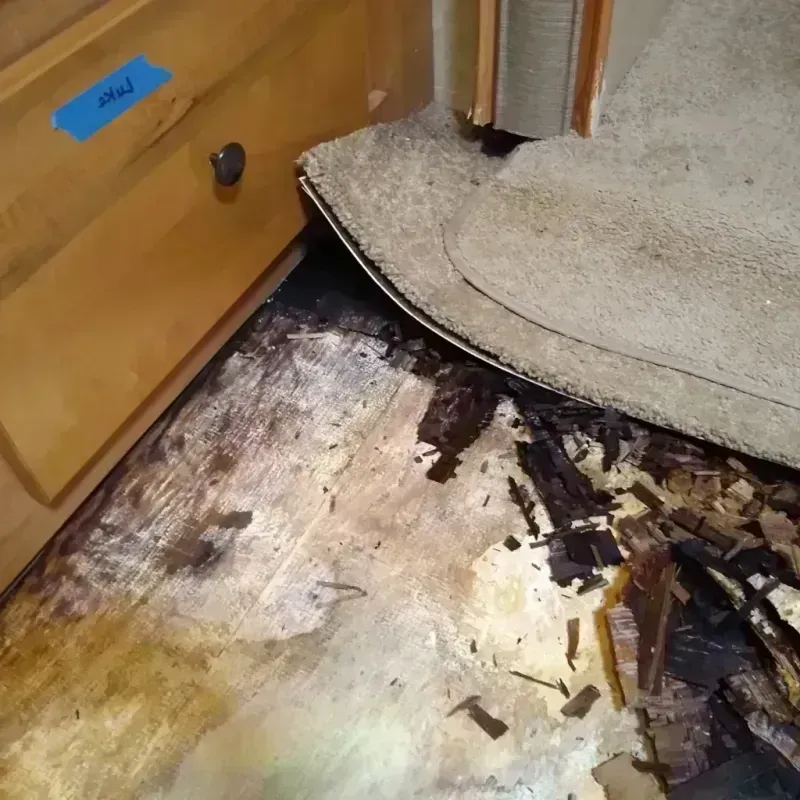 Best Wood Floor Water Damage Service in Franklin County, GA